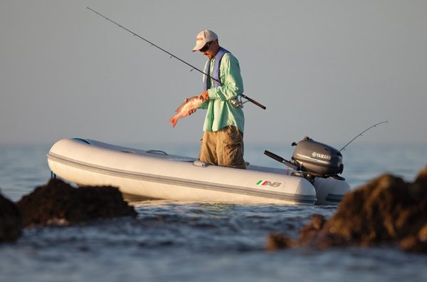 Yamaha 4HP | F4SMHA - Image 2